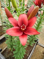 [5704 DJ AZ-03 No02.JPG]